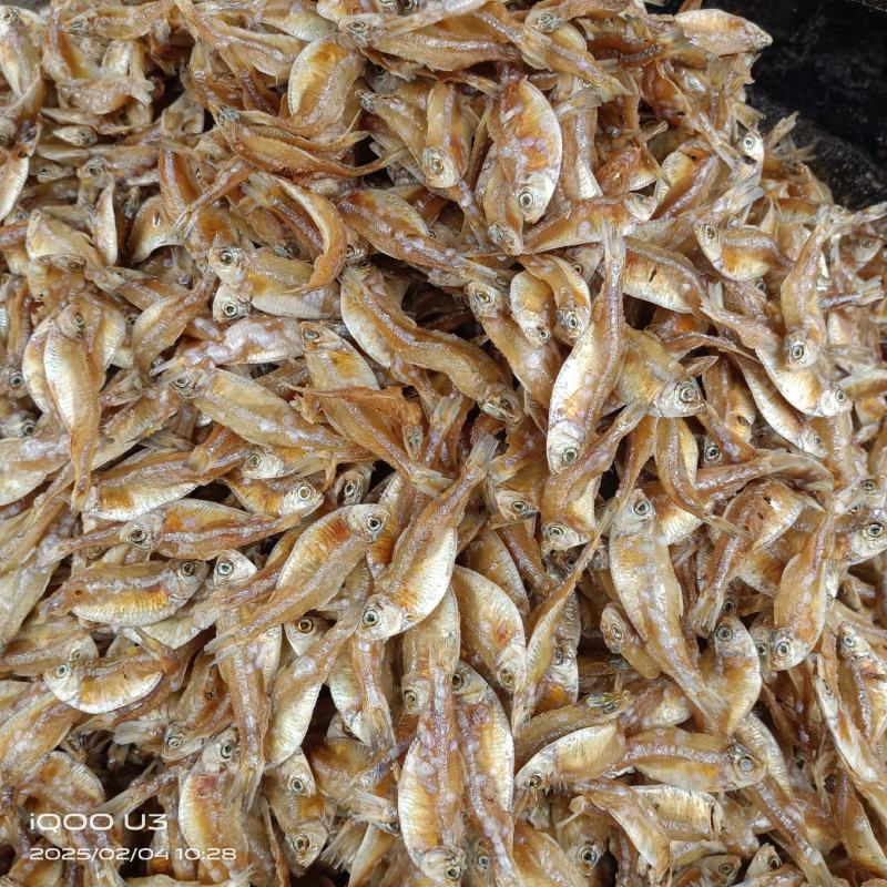 油炸白肚鱼