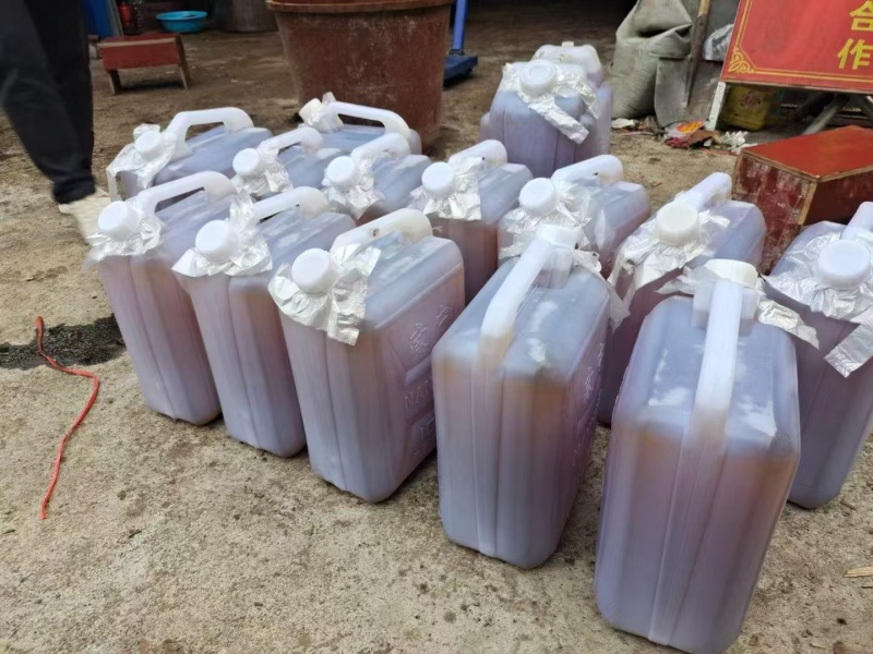 巴马所略老品种山茶油/压榨油/大量供应