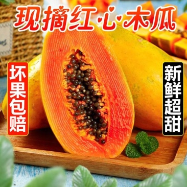 海南红心木瓜全国批发13907570自家580果园