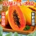 海南红心木瓜全国批发13907570自家580果园