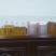 巴马所略老品种山茶油/压榨油/大量供应