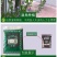 半枝莲新种子正宗方茎新采中草药材籽半枝莲种籽并头草韩信草