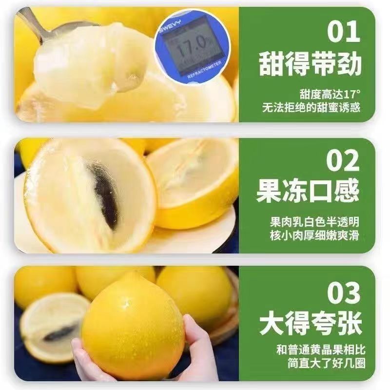 黄晶果批发代发全国发！
