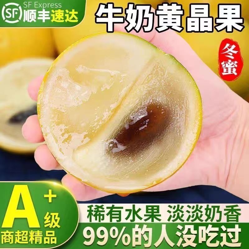 黄晶果批发代发全国发！
