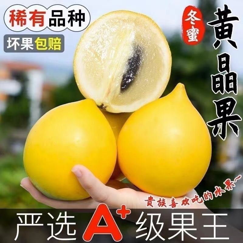 黄晶果批发代发全国发！
