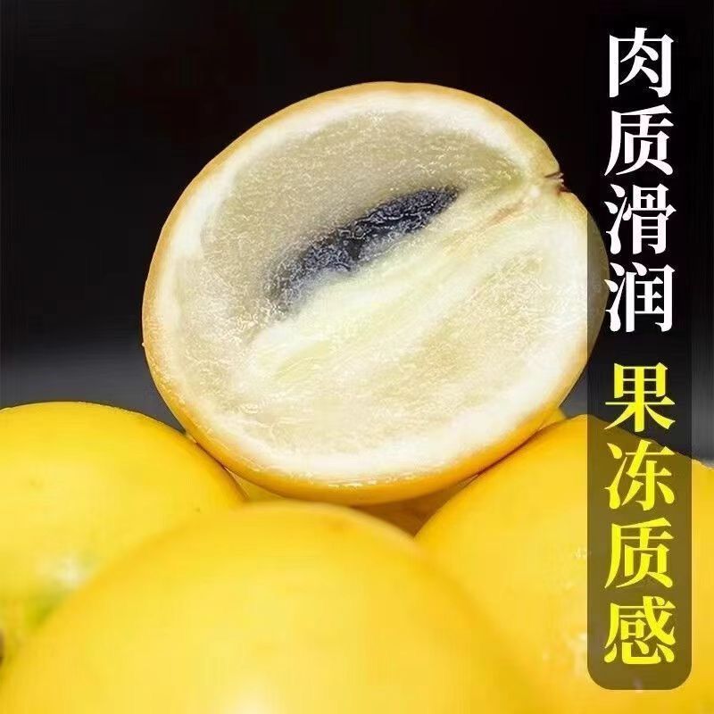 黄晶果批发代发全国发！