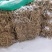 内蒙古中药材生黄芪中药根茎类新鲜种植支持视频看货