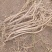 内蒙古中药材生黄芪中药根茎类新鲜种植支持视频看货