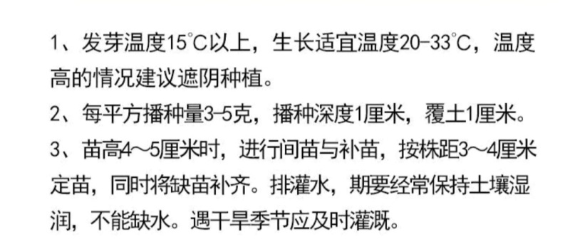 半枝莲新种子正宗方茎新采中草药材籽半枝莲种籽并头草韩信草