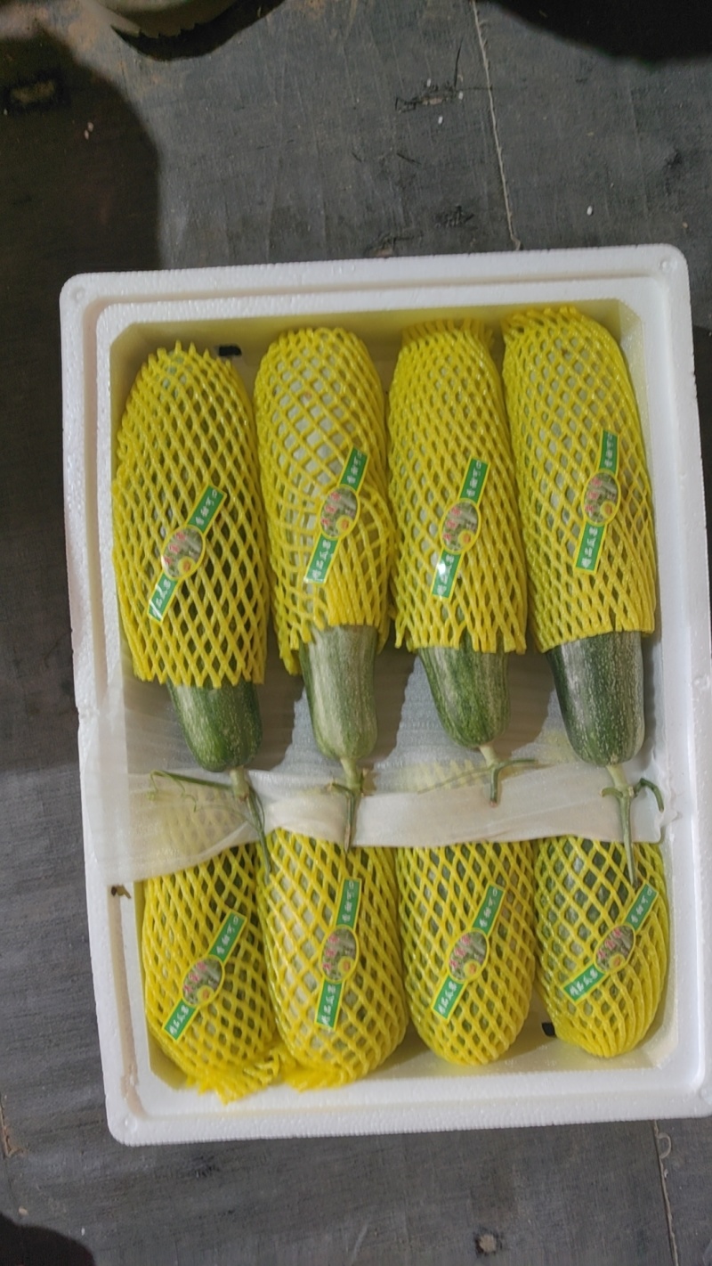头茬羊角蜜61博洋72蜜源18博洋9品种齐全产地代办代发