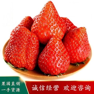 红颜草莓现摘现送支持附近做团购的，无限量供货