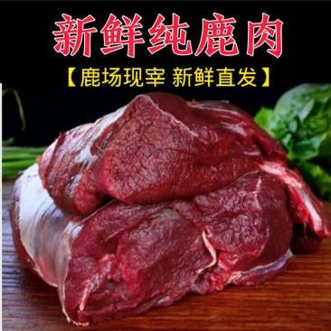 【鹿腿肉】东北现杀梅花鹿腿肉吉林白山临江市大块鹿肉冷链包邮