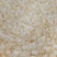 皂角米雪莲子皂角米皂角米壳厂家供货支持一件代发
