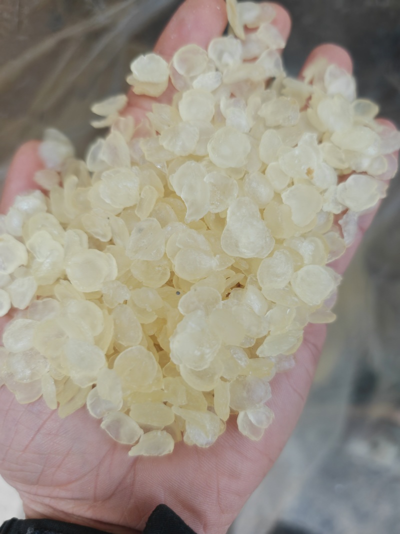 皂角米雪莲子皂角米皂角米壳厂家供货支持一件代发