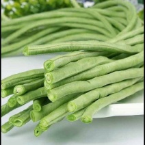 长豆角缸豆湖北长豆角青条豆角一手货源保质保量