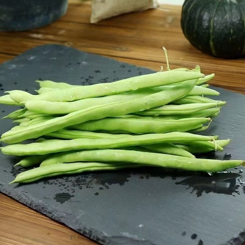 四季豆无筋豆青豆角精品四季豆产地供应一手货源