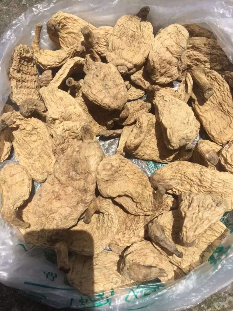 出售野生天麻假一赔十质量保证