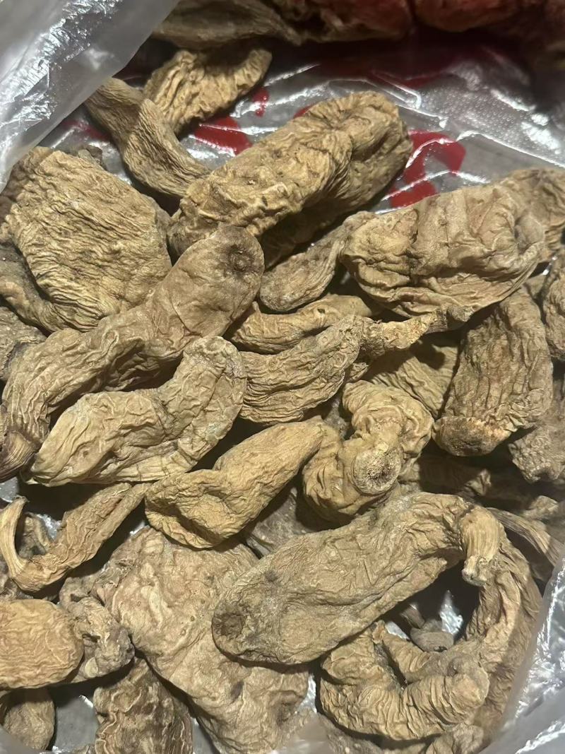 出售野生天麻假一赔十质量保证