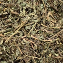 珍珠草叶下珠【包邮】三斤起发货可批量可零售量大从优