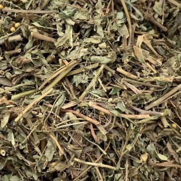 珍珠草叶下珠【包邮】三斤起发货可批量可零售量大从优