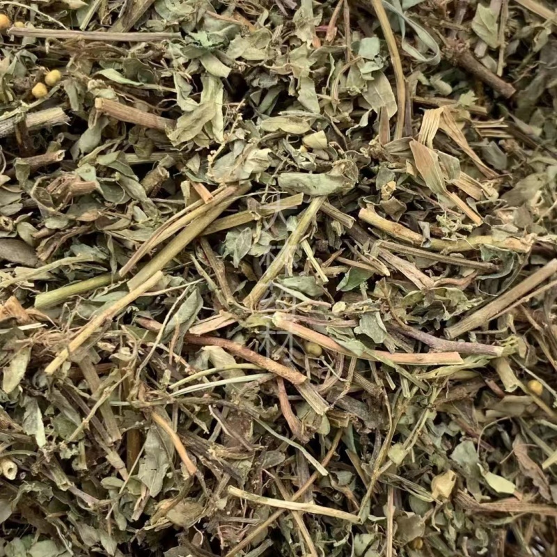 珍珠草叶下珠【包邮】三斤起发货可批量可零售量大从优