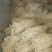 湖北恩施川牛膝