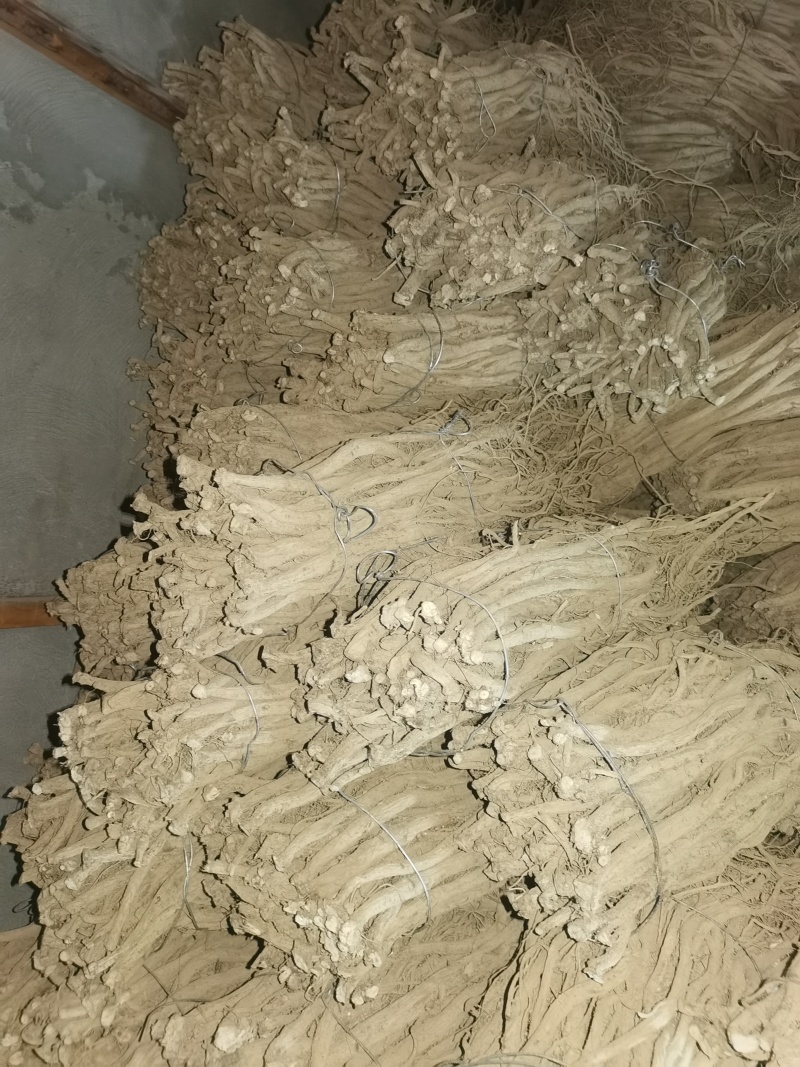 湖北恩施川牛膝