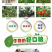复硝酚钠98%原粉促生长瓜果花卉植物生长调节剂
