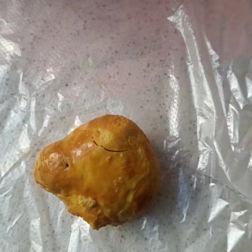 药用鸡宝
