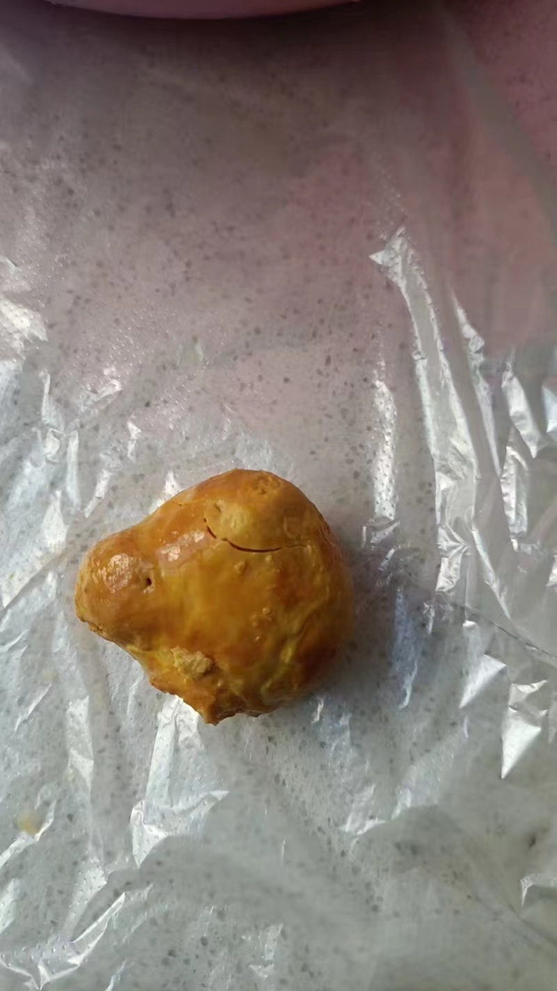 药用鸡宝