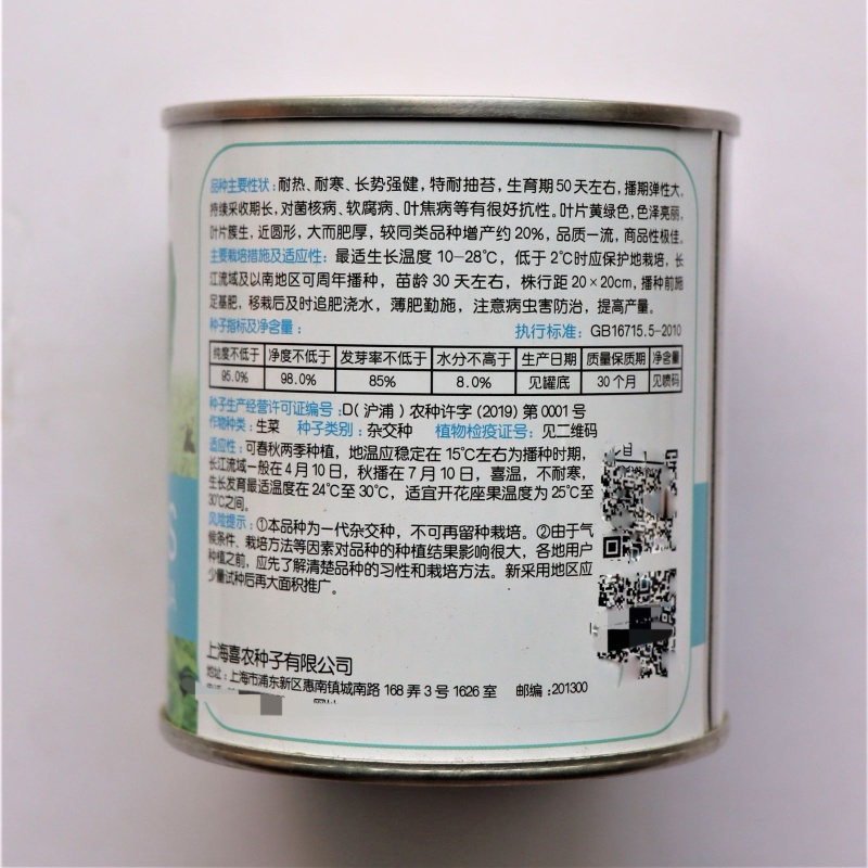 汇蔬耐抽苔生菜种子耐热耐寒全年奶油生菜种籽四季阳台蔬菜种