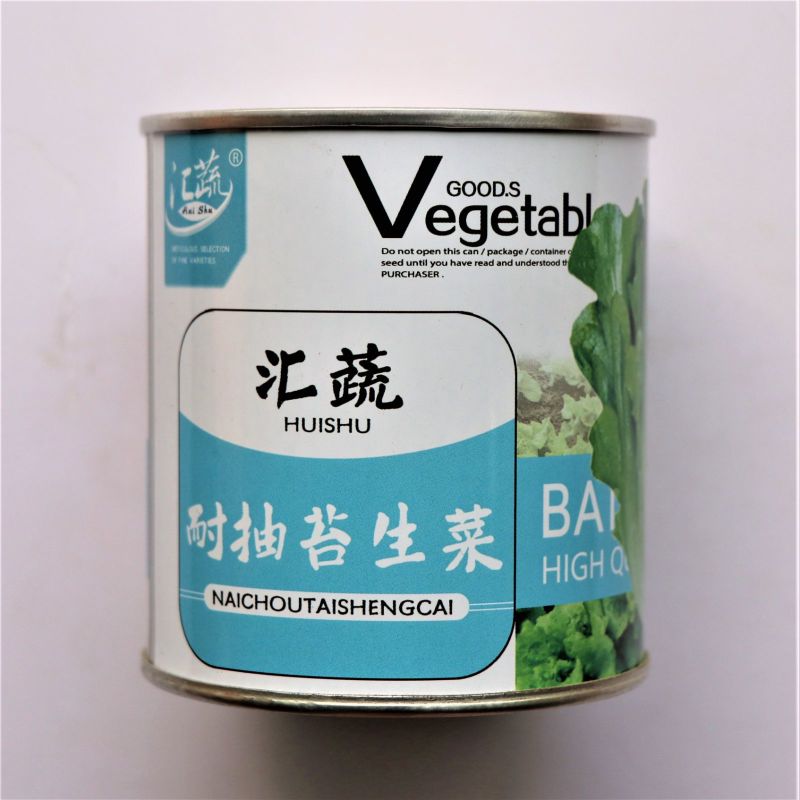 汇蔬耐抽苔生菜种子耐热耐寒全年奶油生菜种籽四季阳台蔬菜种
