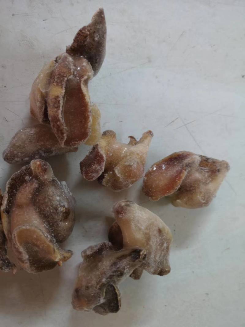 红螺肉，红螺头，海螺肉，海螺头