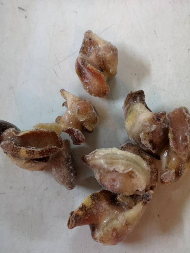红螺肉，红螺头，海螺肉，海螺头