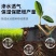 防草布
