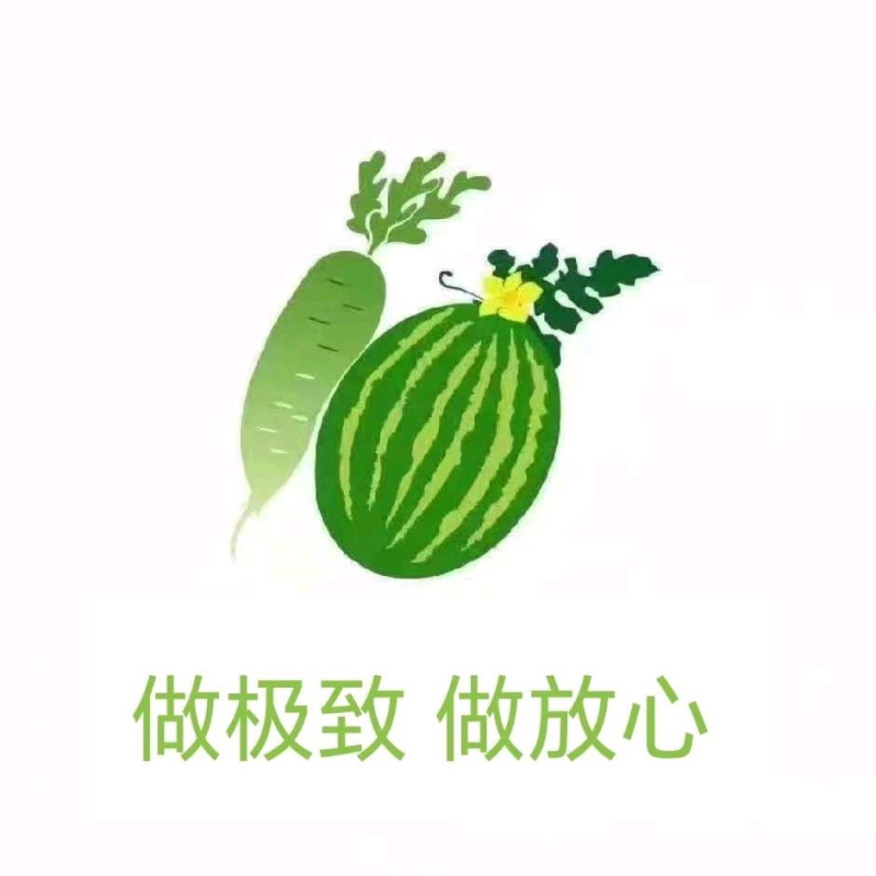 《优质商家》小糖丸小西瓜产地直发各大市场、商超、赶集