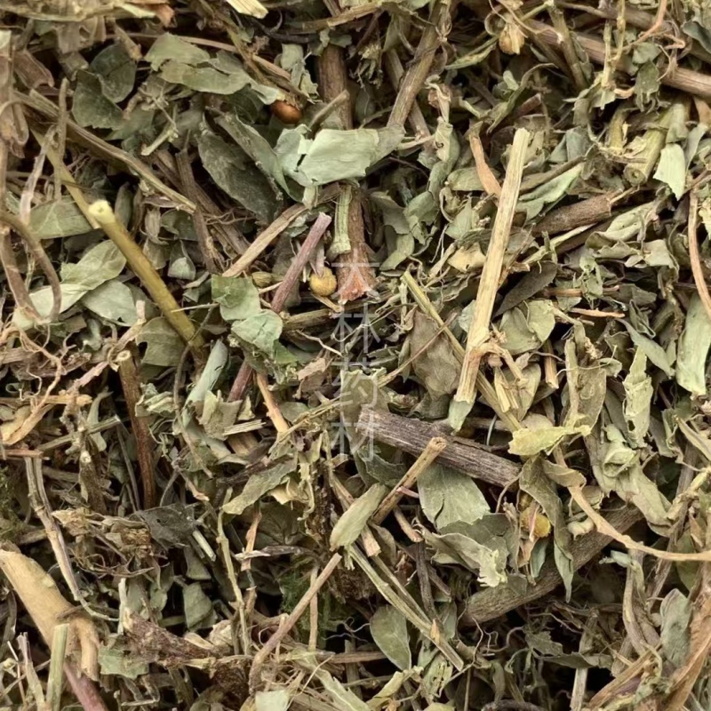 叶下珠珍珠草【包邮】三斤起发货可批量可零售量大从优