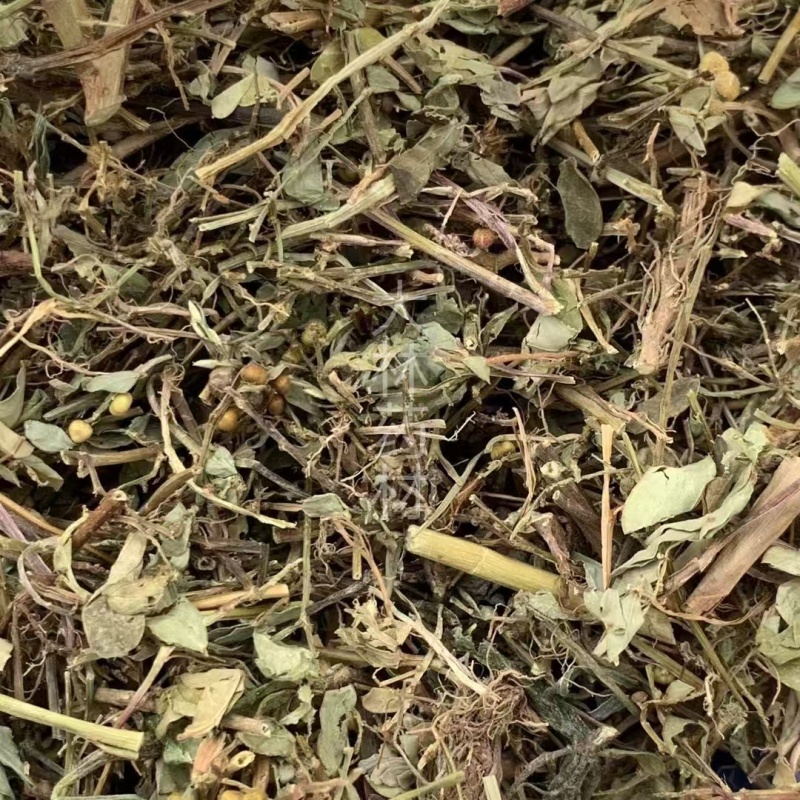 叶下珠珍珠草【包邮】三斤起发货可批量可零售量大从优