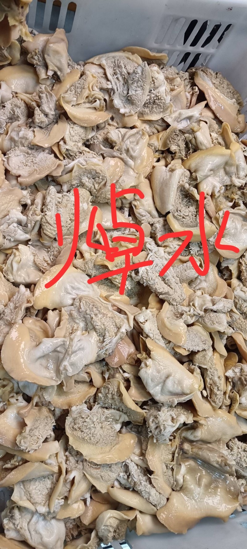 河蚌肉每天现杀生熟都有，500克/包肉脏处理干净可发电商