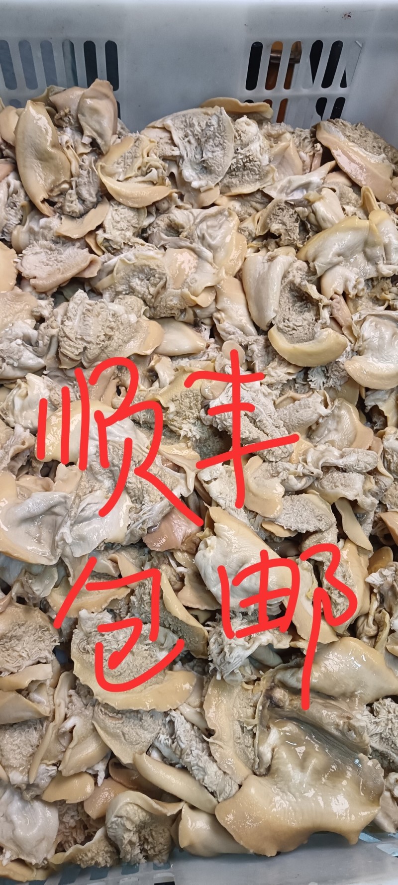 河蚌肉每天现杀生熟都有，500克/包肉脏处理干净可发电商
