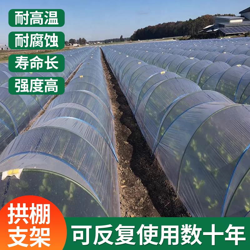 新型农用菜地拱棚支架玻璃纤维实心杆保温棚花棚花木支架龙骨
