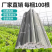 新型农用菜地拱棚支架玻璃纤维实心杆保温棚花棚花木支架龙骨