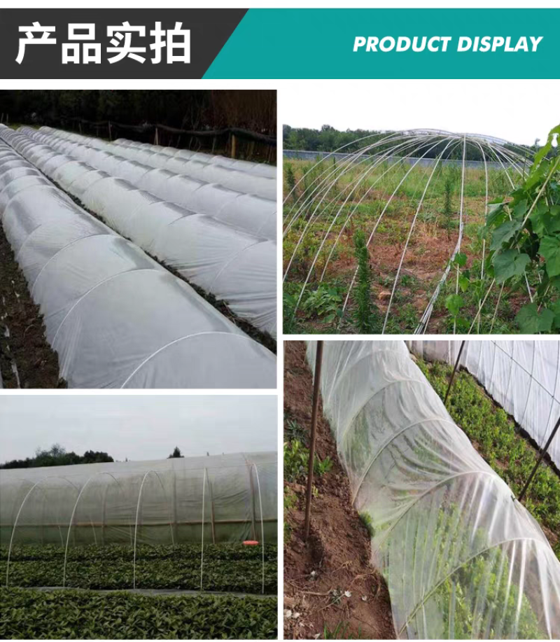 新型农用菜地拱棚支架玻璃纤维实心杆保温棚花棚花木支架龙骨