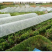 新型农用菜地拱棚支架玻璃纤维实心杆保温棚花棚花木支架龙骨