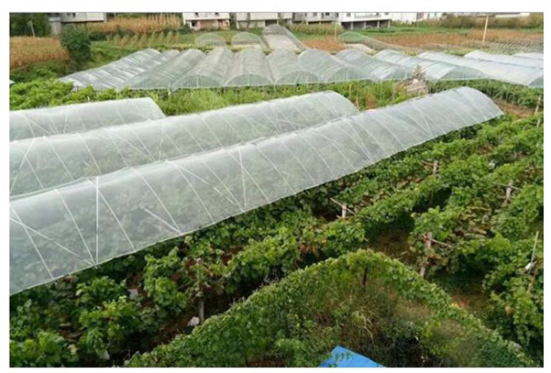 新型农用菜地拱棚支架玻璃纤维实心杆保温棚花棚花木支架龙骨