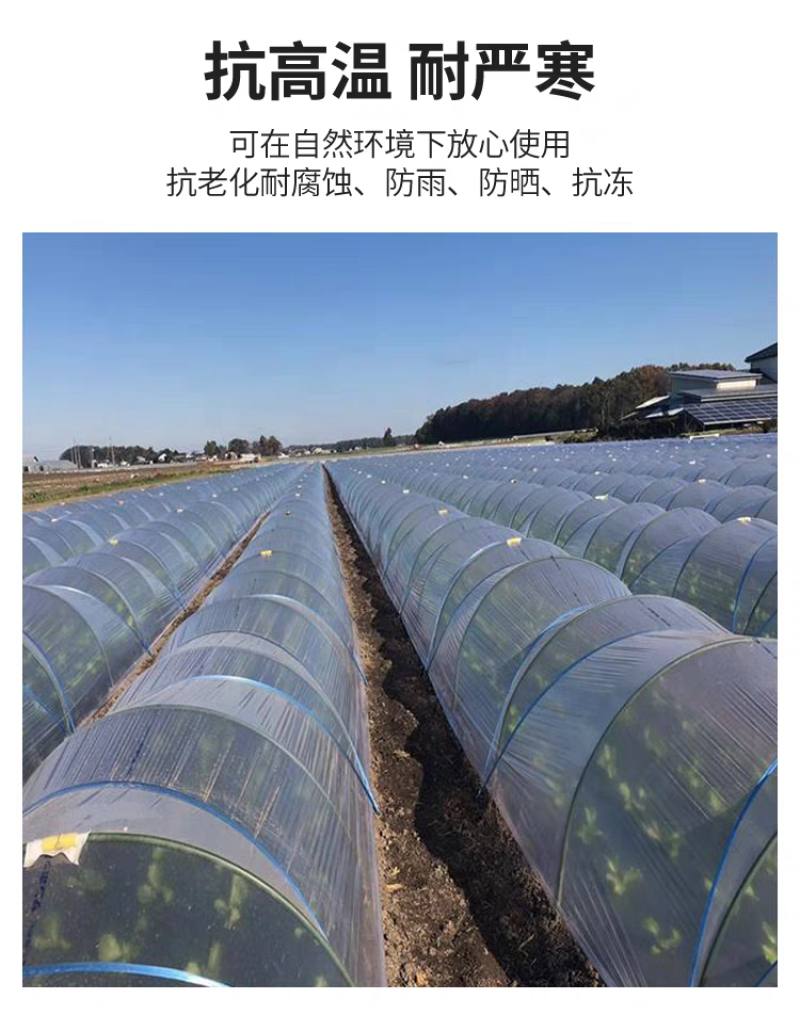 新型农用菜地拱棚支架玻璃纤维实心杆保温棚花棚花木支架龙骨