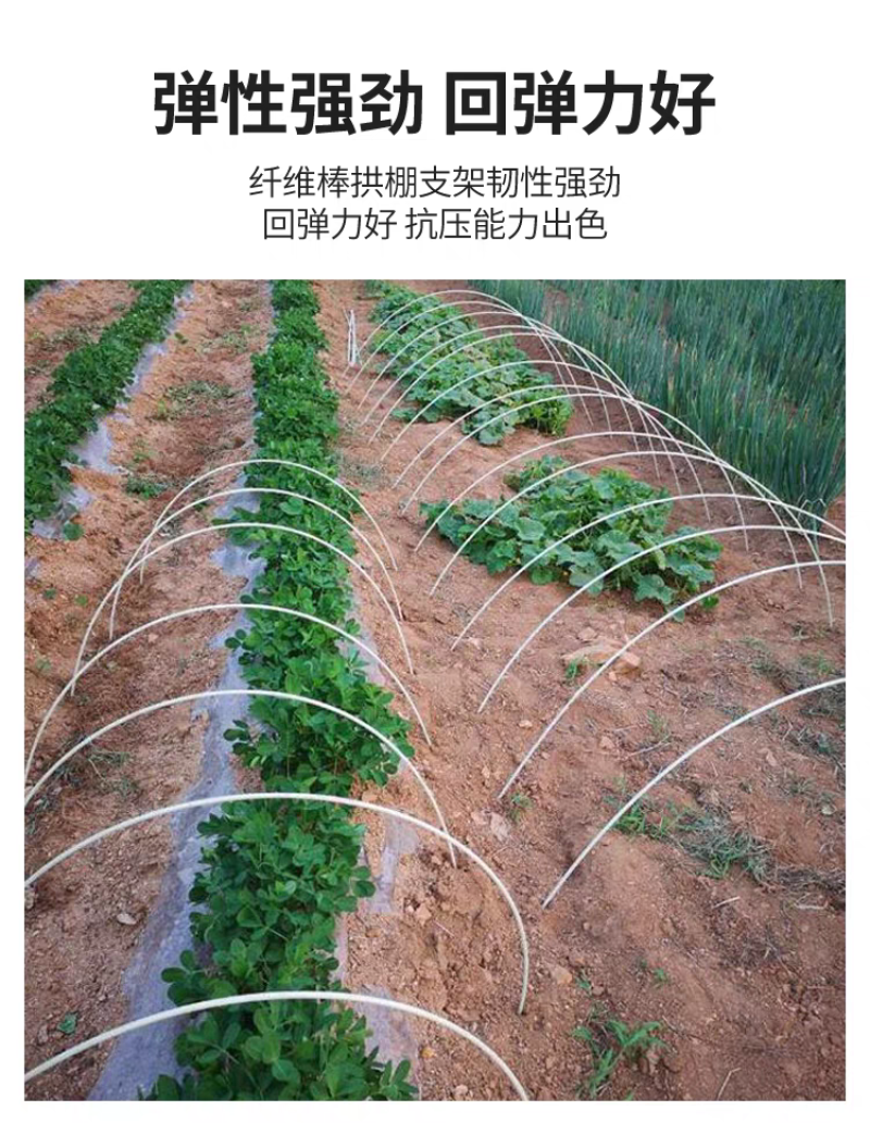 新型农用菜地拱棚支架玻璃纤维实心杆保温棚花棚花木支架龙骨