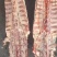 大家好，我是一亩田厂家今日多肉羊蝎子