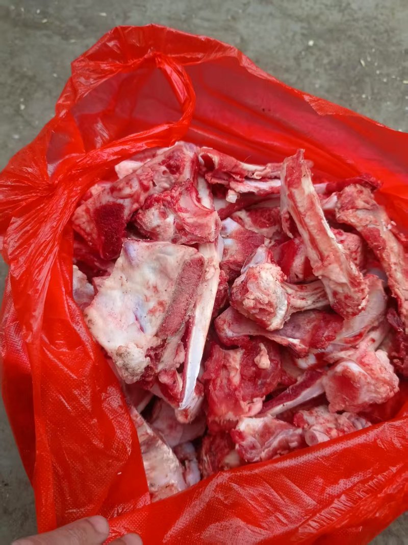 牛小骨头牛骨头品质好厂家直供欢迎联系新鲜现货