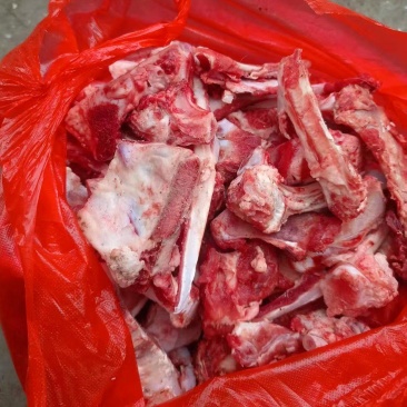 牛小骨头牛骨头品质好厂家直供欢迎联系新鲜现货